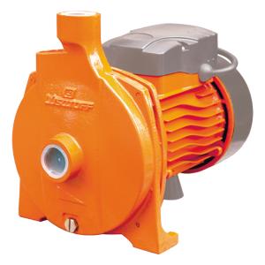 BOMBA CENTRÍFUGA • 1 HP - 750 W LUSQTOFF