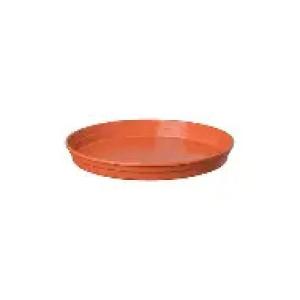 PLATO 12 SIMIL BARRO (PFW)