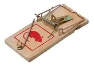 TRAMPA PARA RATON BLISTER X 2 UNIDADES(PFW)